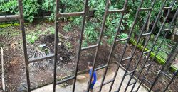 4 BHK House Cum Shop For Rent in MARGAO, Goa