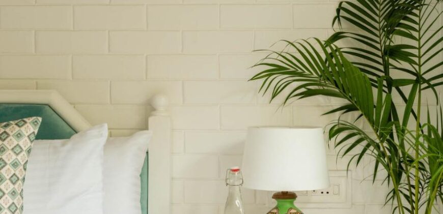 2 BHK Apartment For Rent At REIS MAGOS Goa