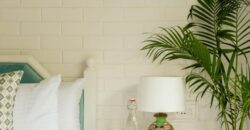 2 BHK Apartment For Rent At REIS MAGOS Goa