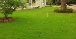 5 BHK Portuguese Villa For Rent At THIVIM Goa