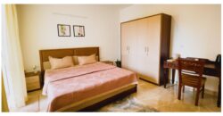3.5 BHK Fully furnished Apartment for Rent in DONA PAULA, Goa