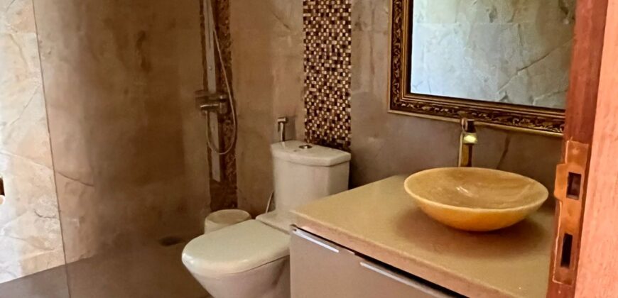 2 BHK Sea View Apartment For Rent in BAMBOLIM, Goa