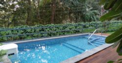 3 BHK Luxury Villa For Sale At NACHINOLA Goa