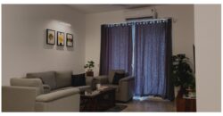3.5 BHK Fully furnished Apartment for Rent in DONA PAULA, Goa