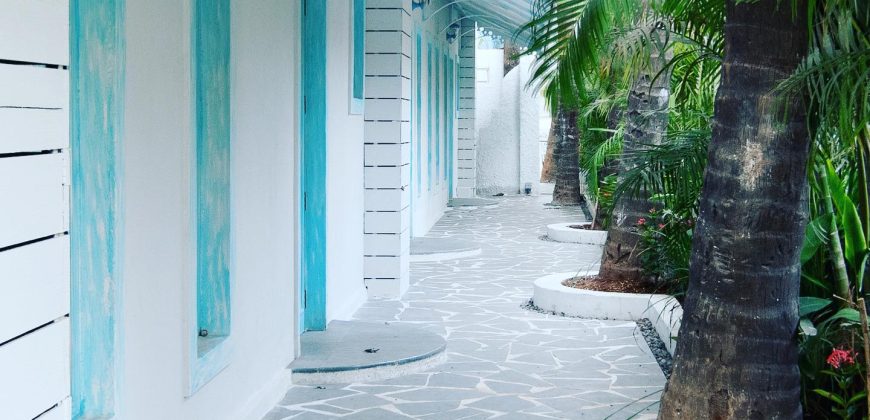 10 BHK Luxury Villa For Sale At SIOLIM Goa