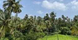 4 BHK Luxury Villa For Sale At MORJIM Goa
