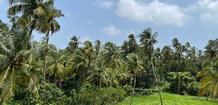 4 BHK Luxury Villa For Sale At MORJIM Goa