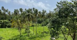 4 BHK Luxury Villa For Sale At MORJIM Goa