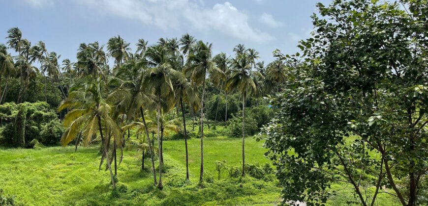 4 BHK Luxury Villa For Sale At MORJIM Goa