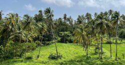 4 BHK Luxury Villa For Sale At MORJIM Goa