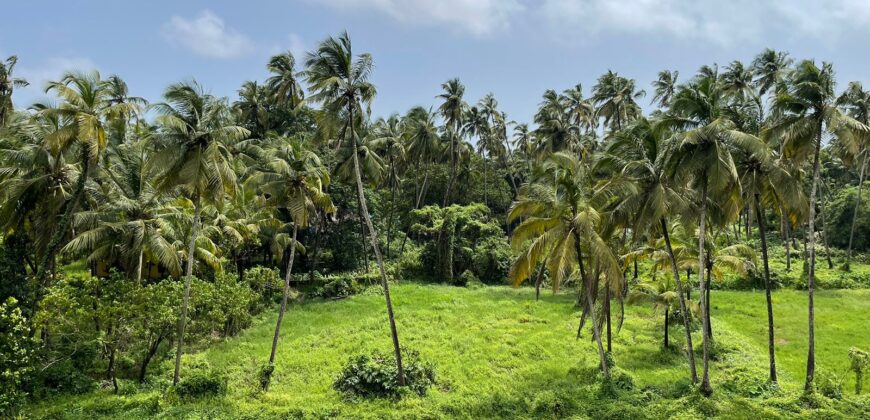 4 BHK Luxury Villa For Sale At MORJIM Goa