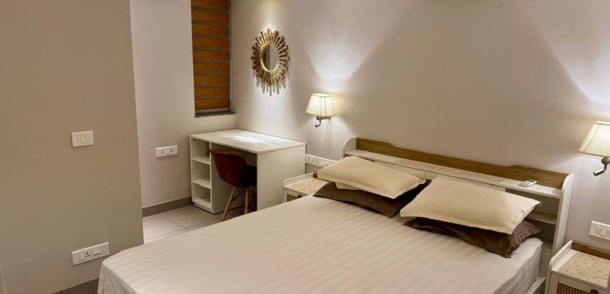 2 BHK Luxury Fully Furnished Apartment For Sale At DONAPAULA Goa