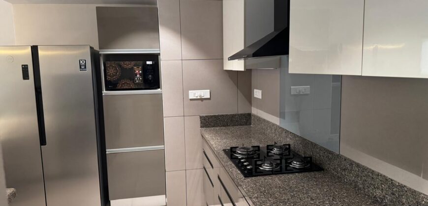 2 BHK Luxury Fully Furnished Apartment For Sale At DONAPAULA Goa