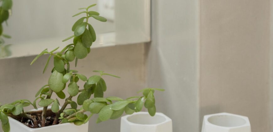 4 BHK Luxury Villa for Sale at ASSAGAO Goa