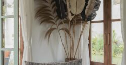 4 BHK Luxury Villa for Sale at ASSAGAO Goa