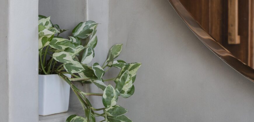 4 BHK Luxury Villa for Sale at ASSAGAO Goa