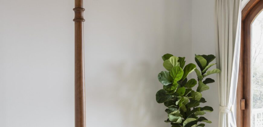 4 BHK Luxury Villa for Sale at ASSAGAO Goa