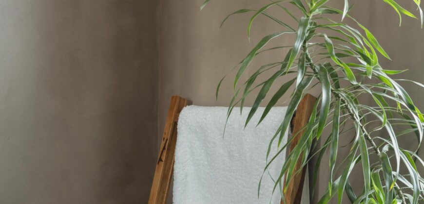 4 BHK Luxury Villa for Sale at ASSAGAO Goa