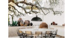 3 BHK Luxury Villa for Sale at ASSAGAO Goa