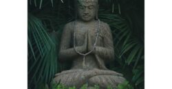 3 BHK Luxury Villa for Sale at ASSAGAO Goa