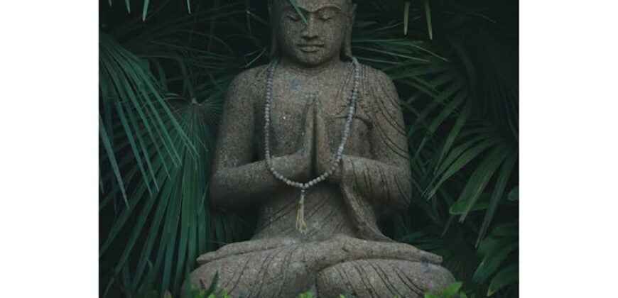 3 BHK Luxury Villa for Sale at ASSAGAO Goa