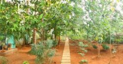 4 BHK Portuguese House for Sale at CHORAO Goa