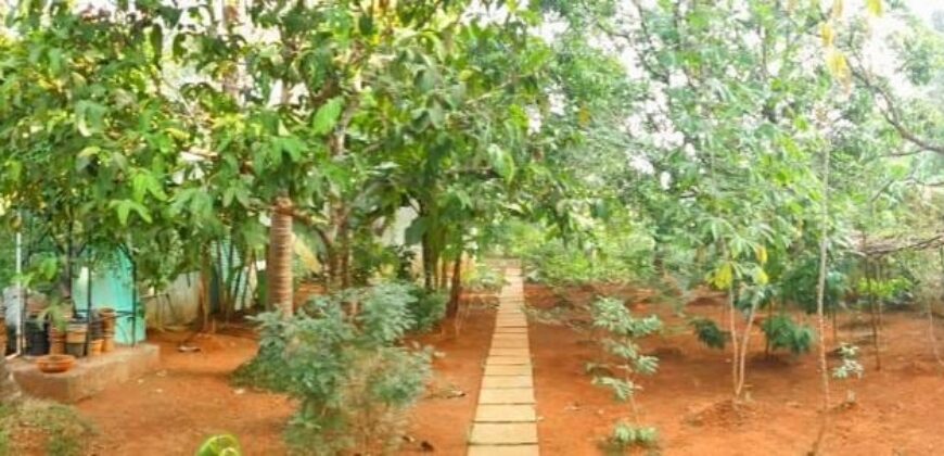 4 BHK Portuguese House for Sale at CHORAO Goa