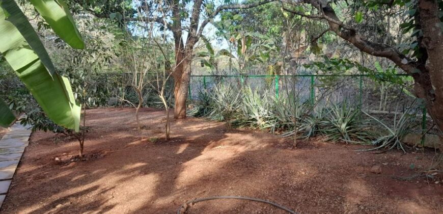 4 BHK Portuguese House for Sale at CHORAO Goa