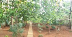 4 BHK Portuguese House for Sale at CHORAO Goa