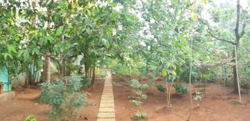 4 BHK Portuguese House for Sale at CHORAO Goa