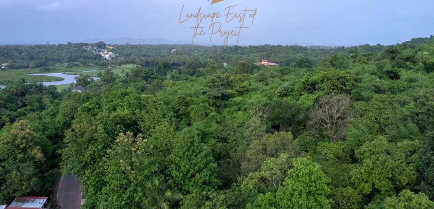 3 BHK Luxury Apartment For Sale at UCCASSAIM Goa