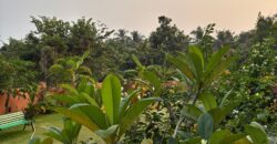 1 BHK Apartment for Rent at PORVORIM Goa