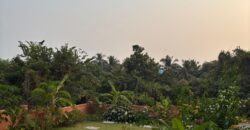 1 BHK Apartment for Rent at PORVORIM Goa