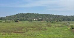 4 BHK Luxury Villa For Sale at GUIRIM Goa