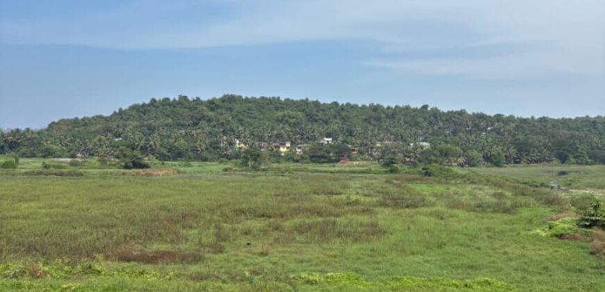 4 BHK Luxury Villa For Sale at GUIRIM Goa