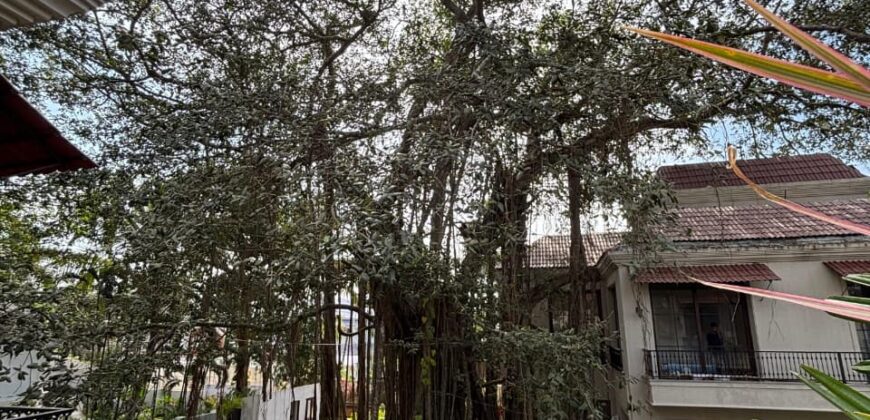 4 BHK Luxury Villa For Sale at GUIRIM Goa